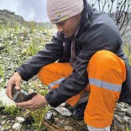 Setting up a camera trap